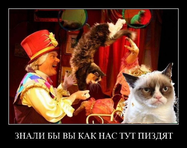 Смешные картинки из соц. сетей.