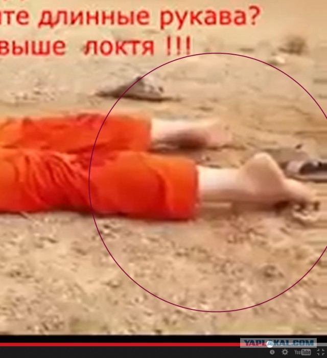Фейк казнь журналиста
