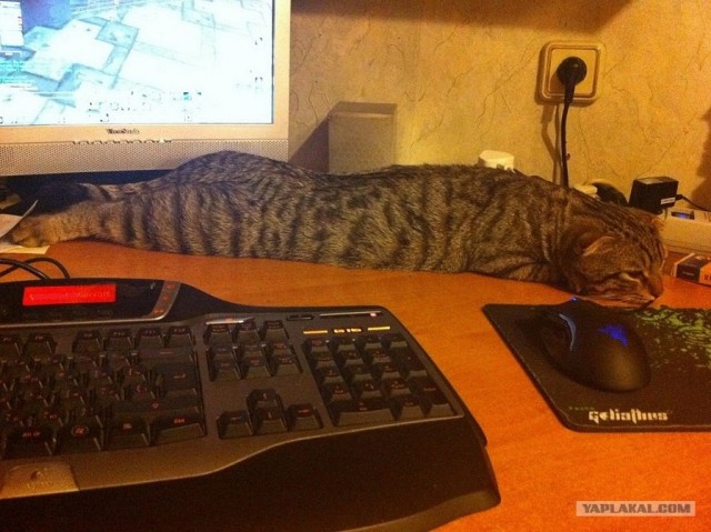 Компромисс