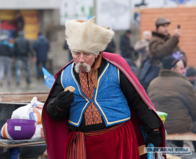 Это они выскакали десятки тысяч трупов