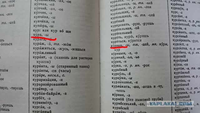 Греча или Гречка?