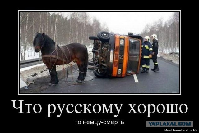 23 признака, что вы родились и выросли в Германии