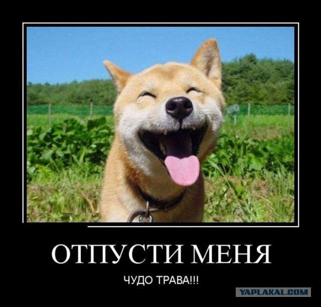 Я непонял, почему датчик заправки не показывает?