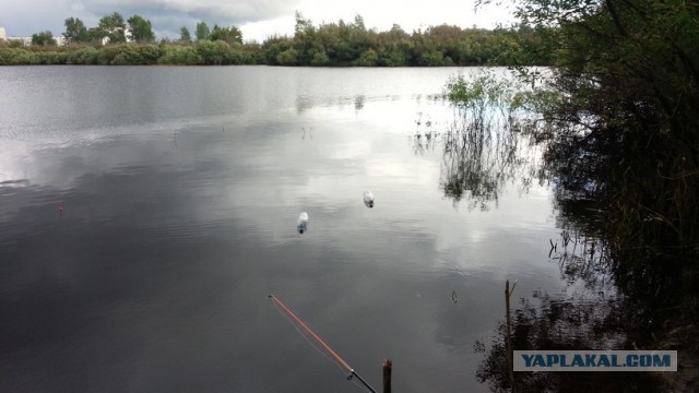 История одной летней рыбалки