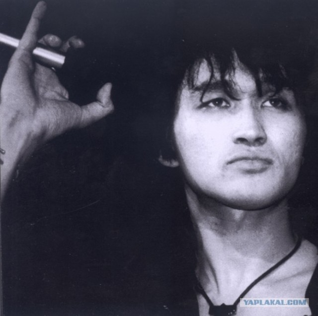 Знаменитости, которые умерли на глазах у зрителей.