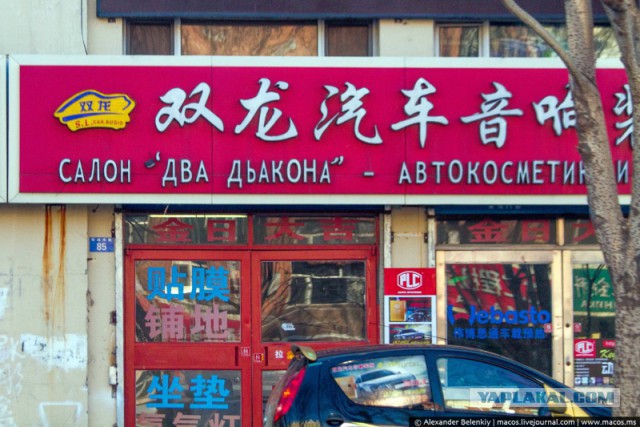 Смешные картинки