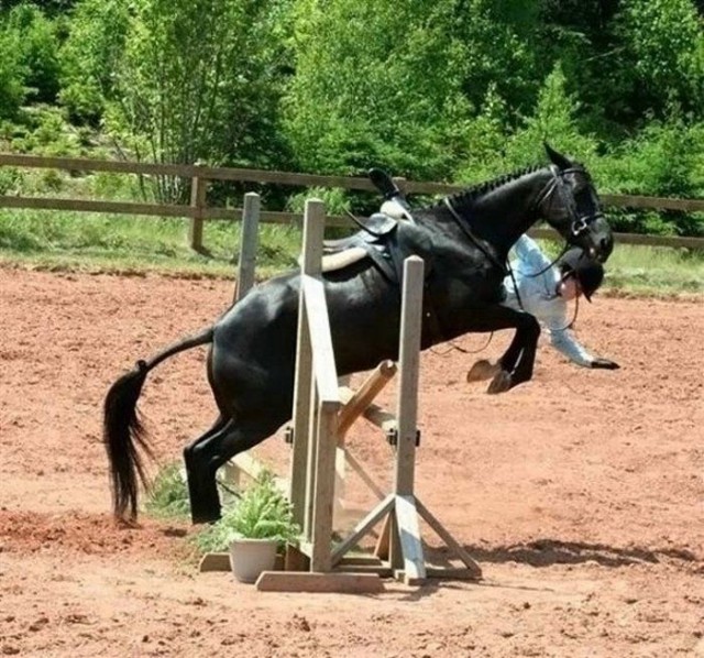 Фото сделанные в нужный момент