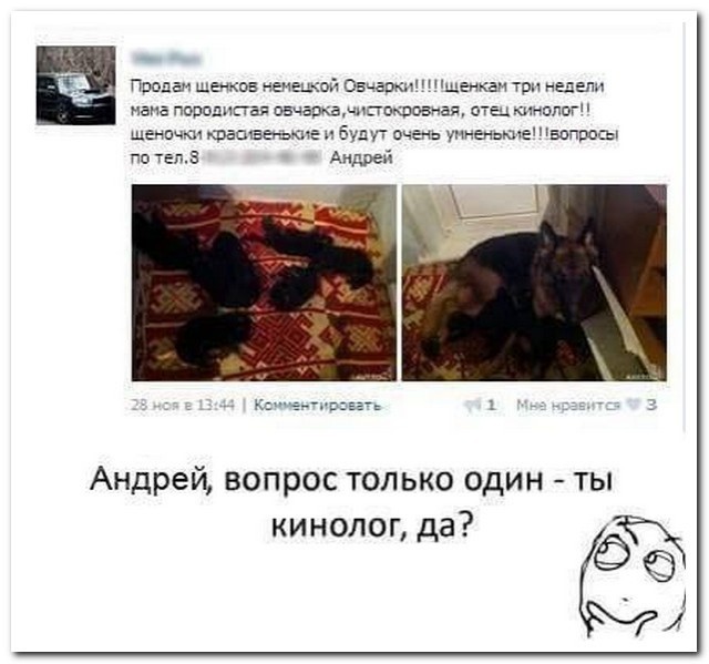 Смешные комментарии из социальных сетей 01.04.2016.