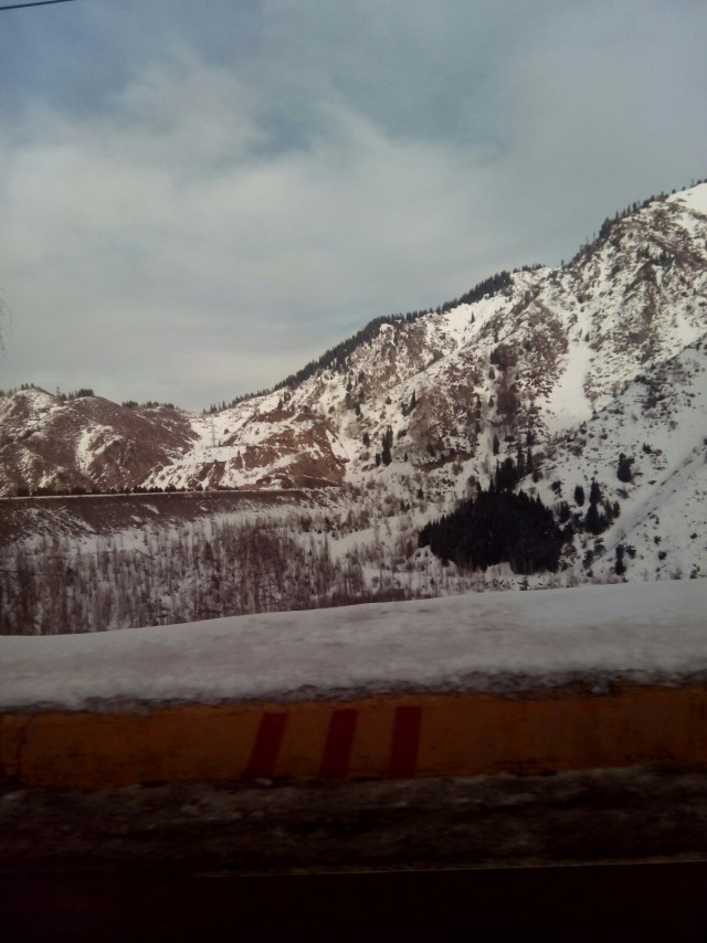 Степи Казахстана