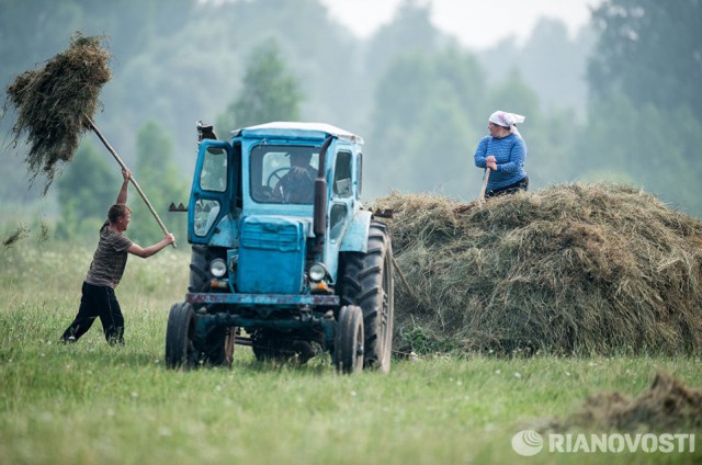 Лучшие фото 2016 года