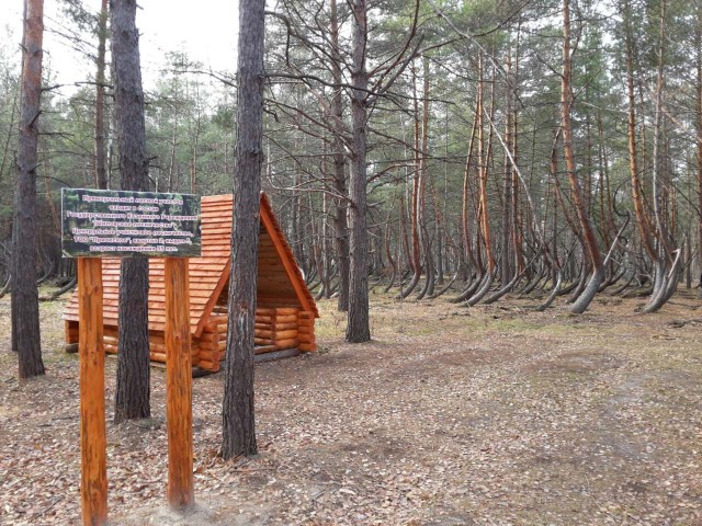 Картинки. Интересные, старые и не очень.