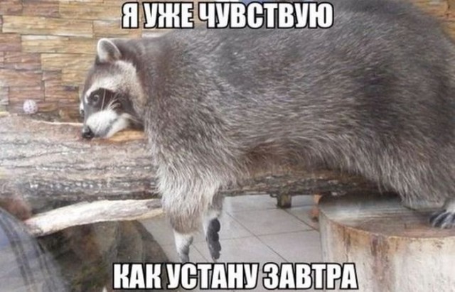 Картинки. Тупые. Очень. 18+ продолжение