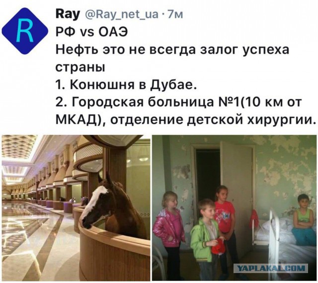 Чем кормят в государственных больницах Британии