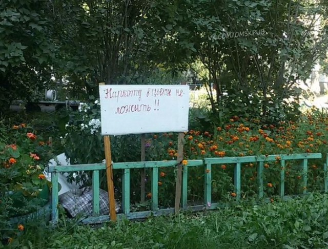 Весёлые картинки