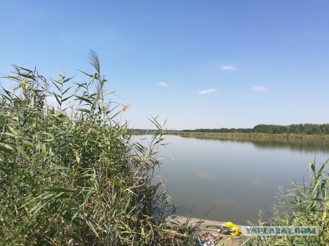 Азовское море. Ейск