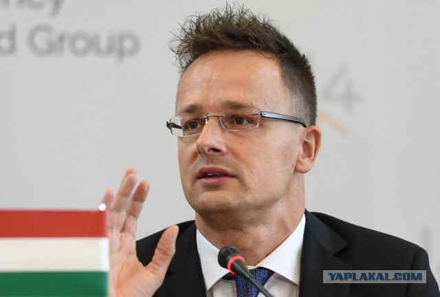 Глава МИД Венгрии: Украина может забыть о будущем в составе ЕС