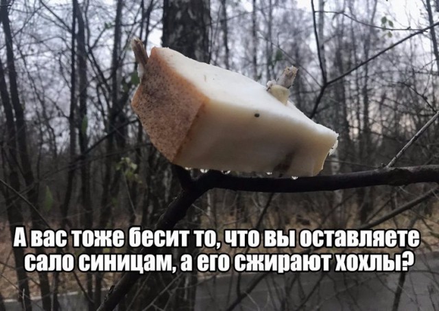 Кто виноват в войне на Донбассе? Опросы в городах Украины