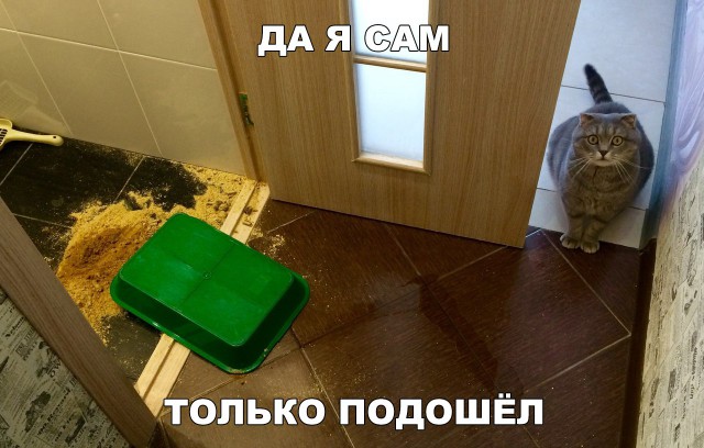 Немного веселых картинок из этих наших интернетов