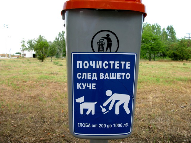 Подборка интересных и веселых картинок