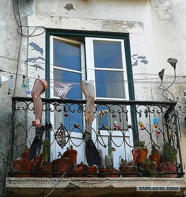 Клуб дуэлянтов, крови и зрелищ