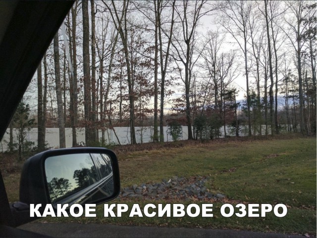 Прикольные картинки абавсём