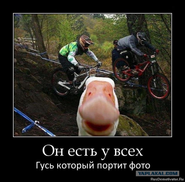 Семейная традиция