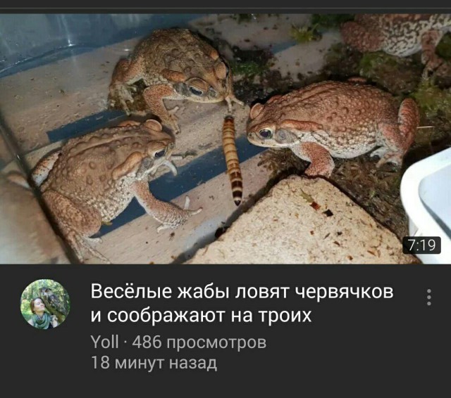 Наркомания и деградация к понедельнику
