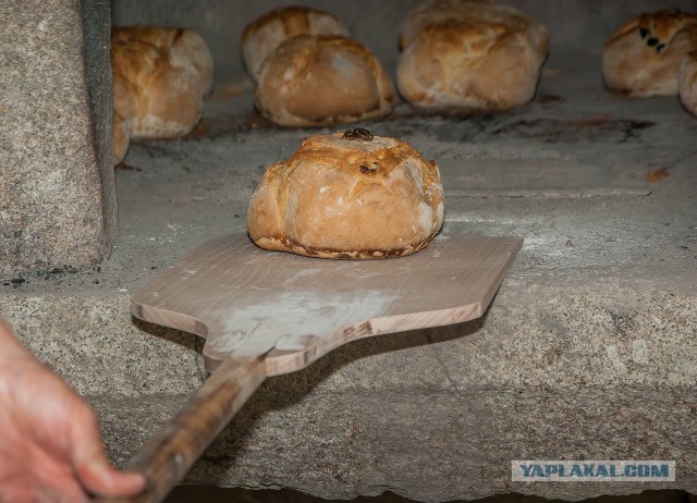 Каникулы в деревне