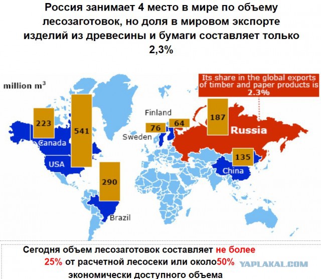 Сибирь станет пустыней. Вырубка леса в Сибири.