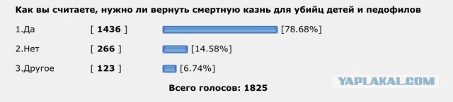 Госдума спросила россиян, нужно ли вернуть смертную казнь