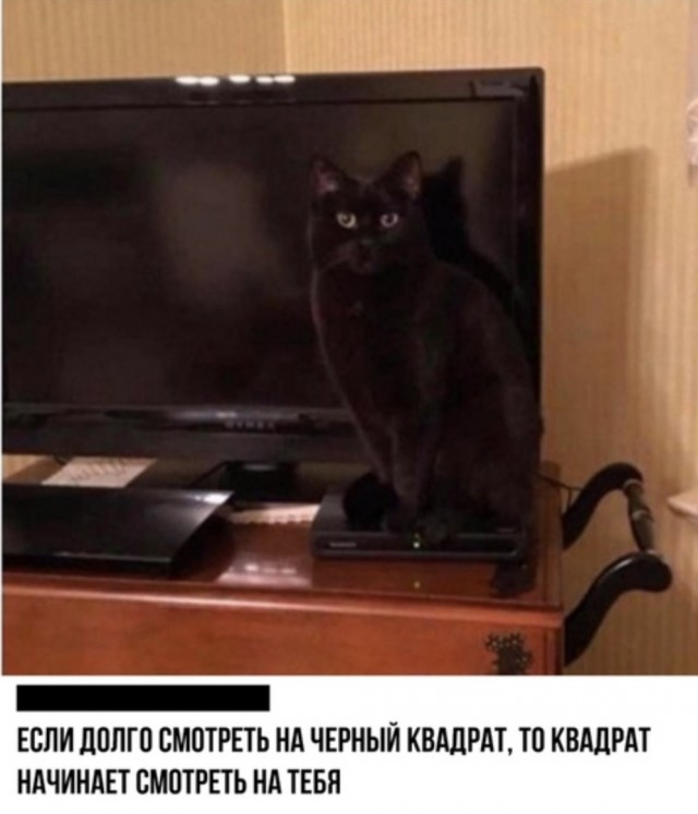 Прикольные пикчи 24.10.19