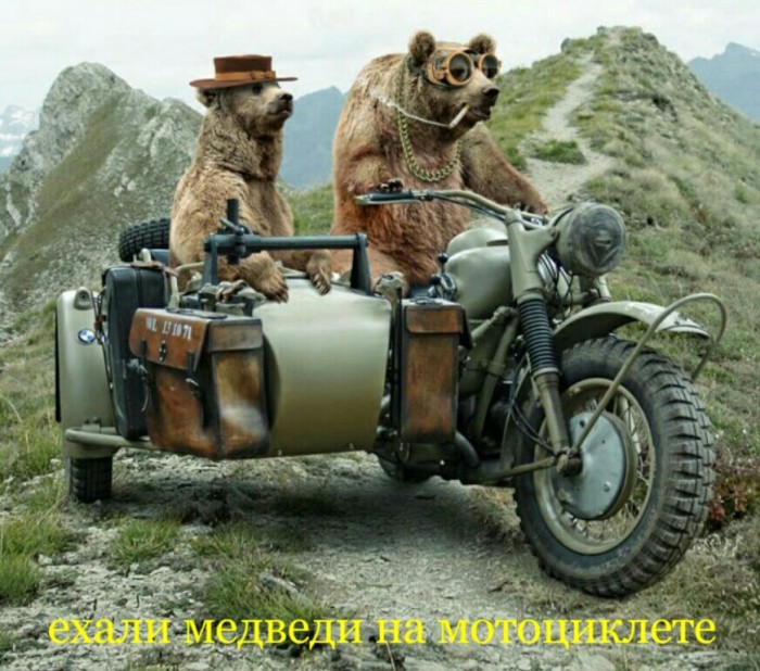Разнокартинок псто 24-12