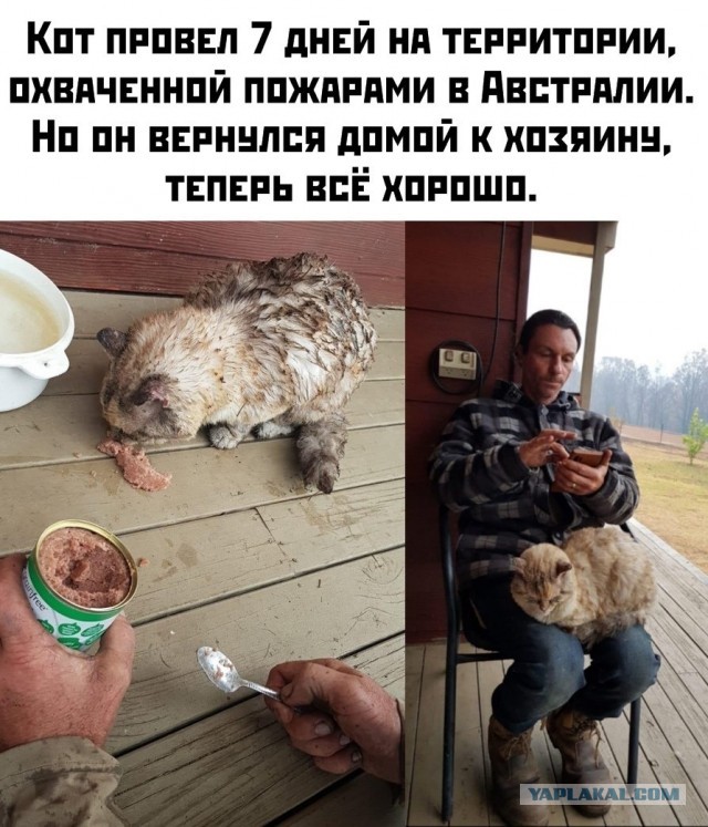 Горящая Австралия