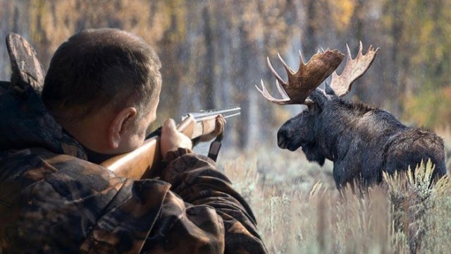 Почему охотники и егеря не пользуются оптическими прицелами в лесу