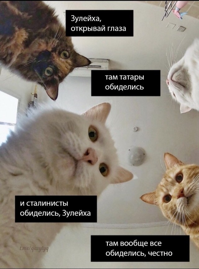 Бредзона 23.04.20