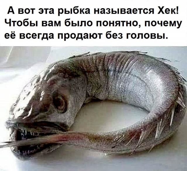 Бредзона 22.07.2020