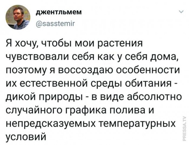 Немного картинок для настроения 24.09.20
