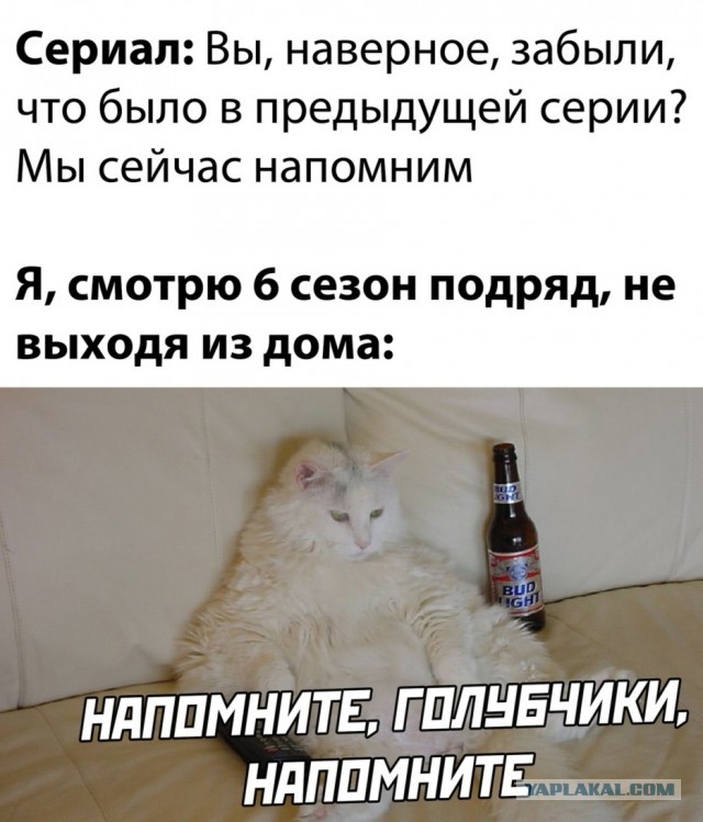 Немного картинок для настроения 26.10.20