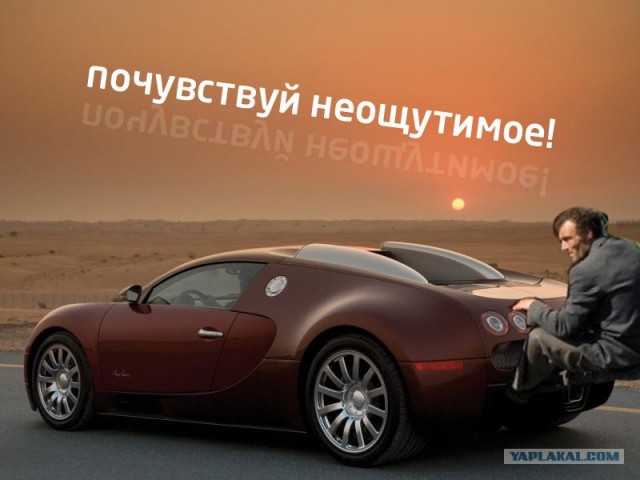 Фотожаба: Суровый уральский заяц