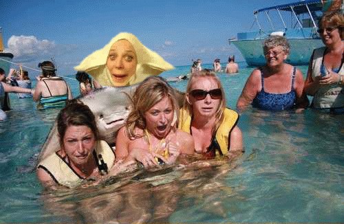 Изобразили