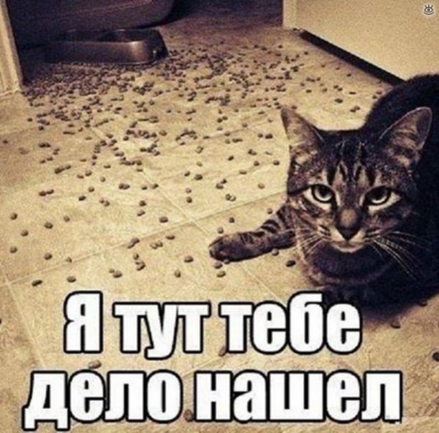 Картинки в субботу 16.01.21