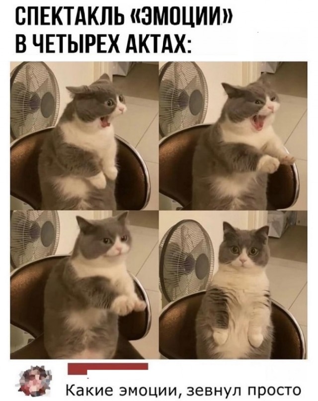 Картинки с надписями и всякие жизненные фразы 25.01.21