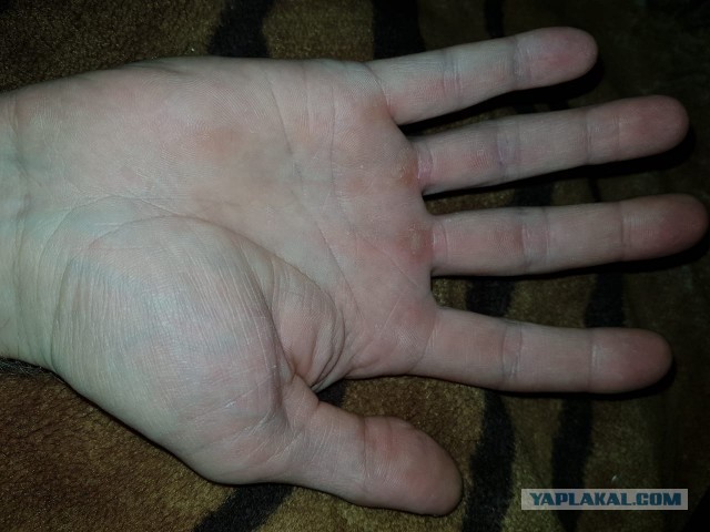 Хиромант