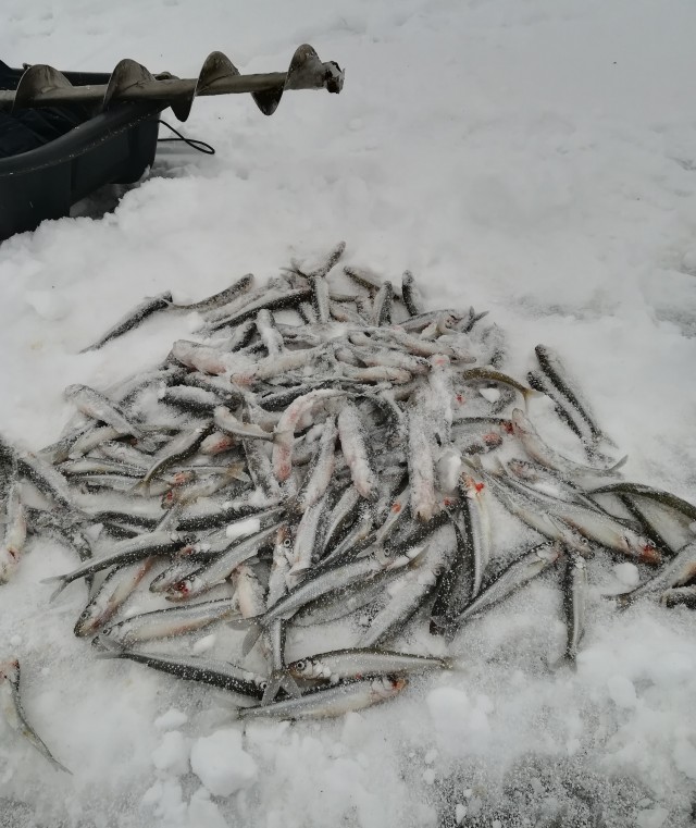 Закрытие сезона