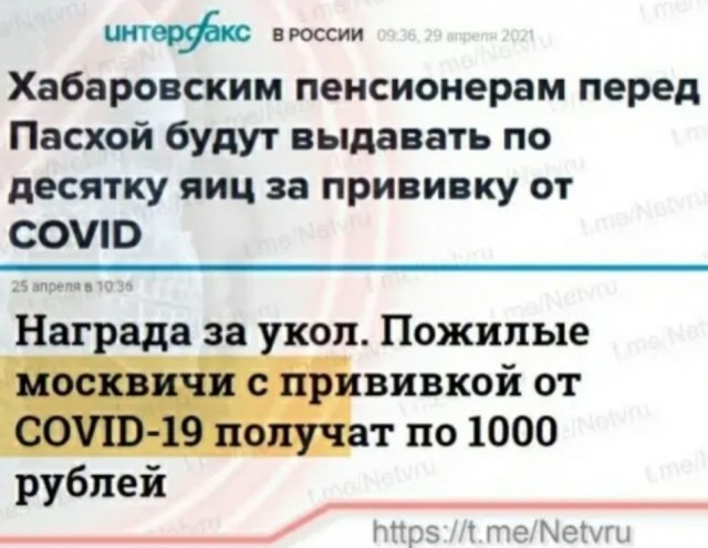 Бредзона 29.04.21
