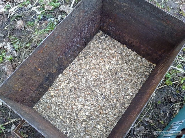 Все из рыбы!