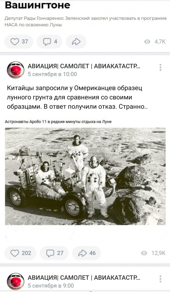 Авиа-ЯП, помоги! Котёночка обидели