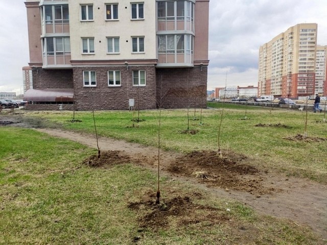 Свежая зелень