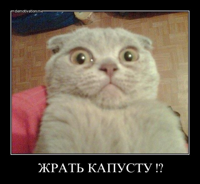 Старинные демотиваторы - 01 (2010)
