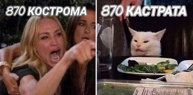 «Кастрат увидит кастрата». В костромской думе не заметили двусмысленности в логотипе к 870-летию города.